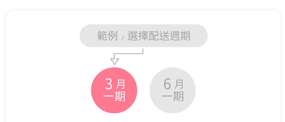 產品內容